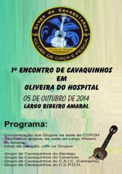 I Encontro de Cavaquinhos em Oliveira do Hospital, 2014